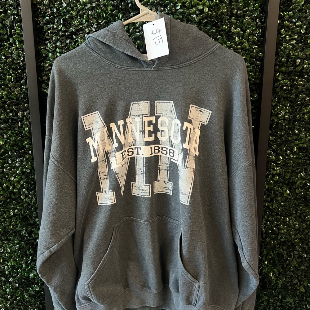 Gray Minnesota Hoodie